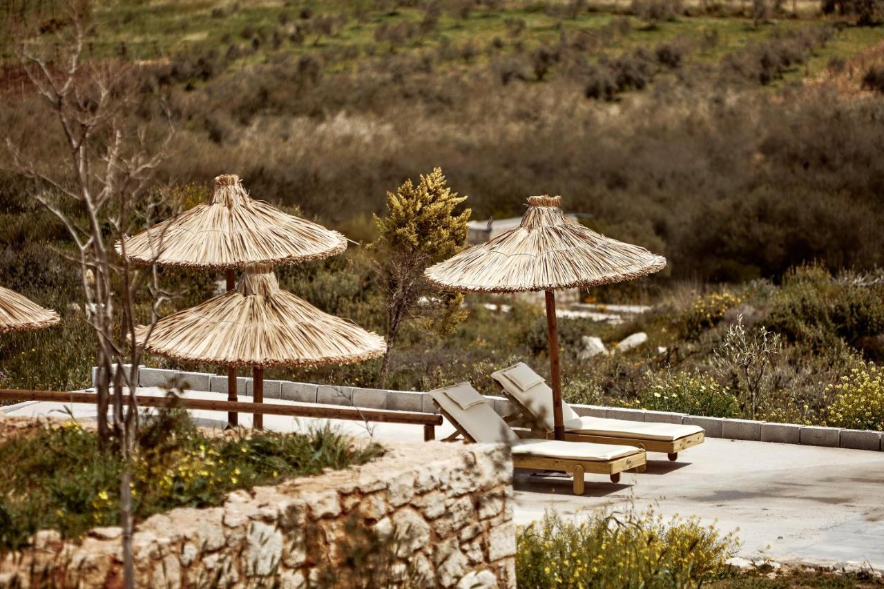 Cretan Alágnion