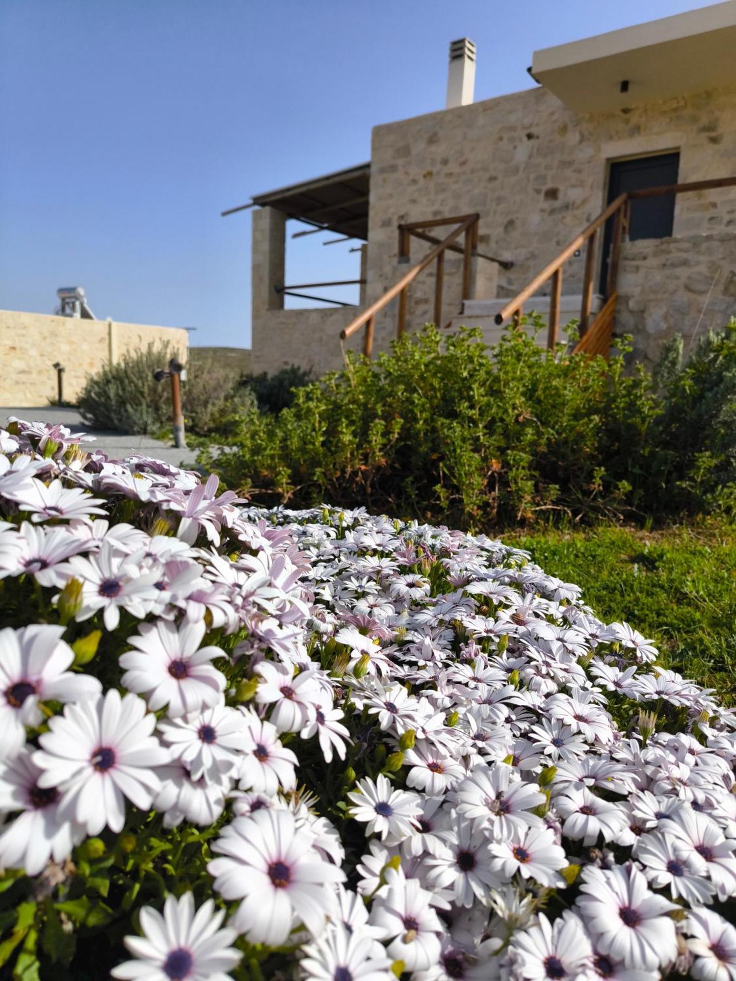 Cretan Villa Alágnion